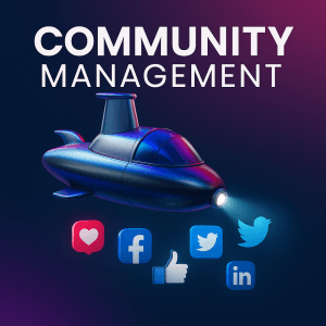 Servicio de gestion de redes sociales